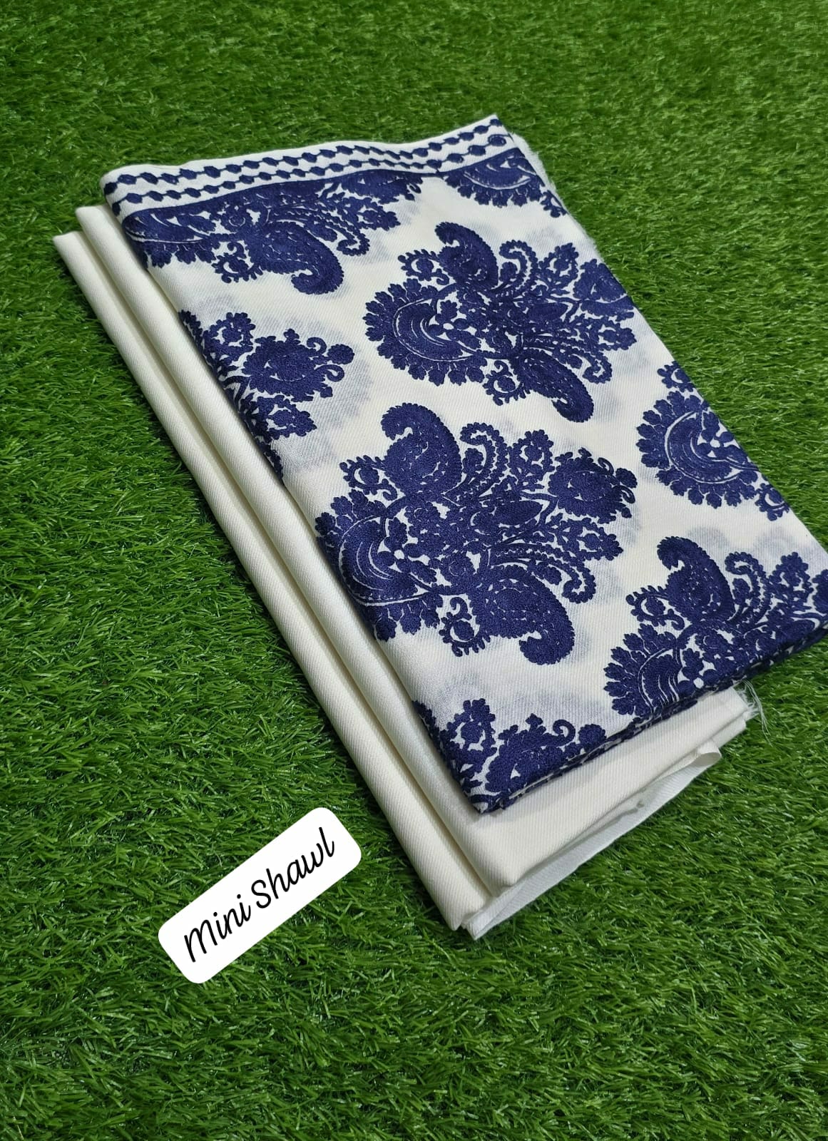 🪸 New Arrival — Pashmina 3pc Suit with Mini Shawl