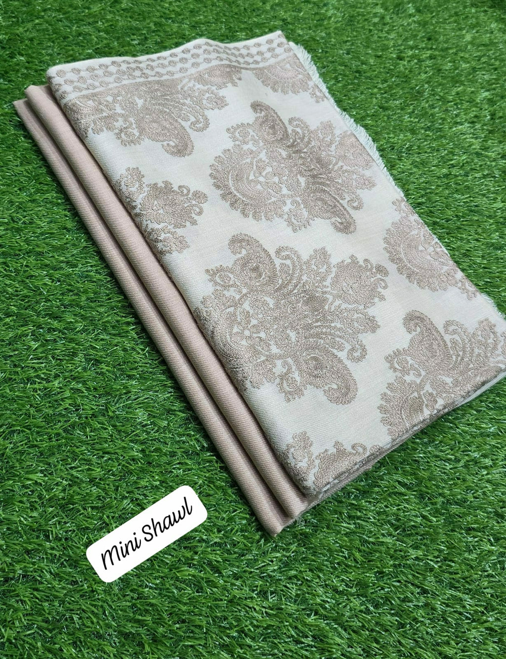 🪸 New Arrival — Pashmina 3pc Suit with Mini Shawl