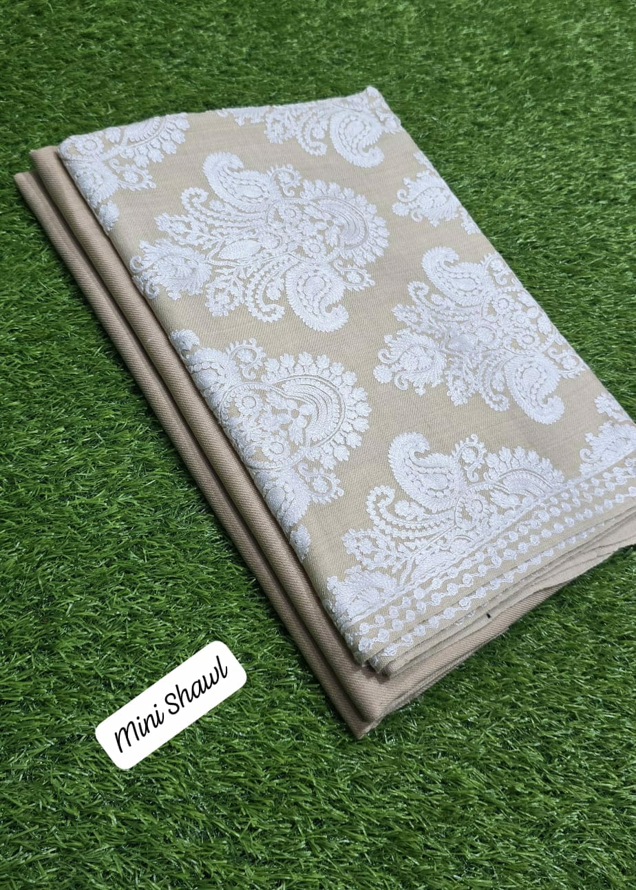 🪸 New Arrival — Pashmina 3pc Suit with Mini Shawl